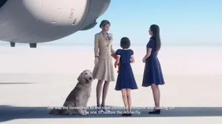 ACE COMBAT™ 7 JPEG Dog