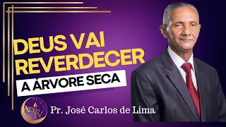 Pr José Carlos de Lima. | Deus vai reverdecer a árvore seca.