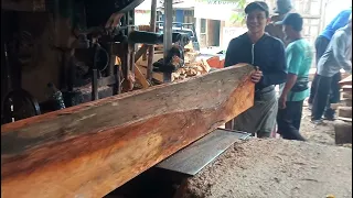 PROSES KAYU PANJANG ⁉️MAHONI SUPER BESAR DI PROSES PAPAN