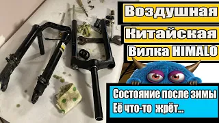 Воздушная китайская вилка Himalo после "зимы".