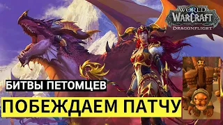 Лёгкая победа над ПАТЧУ | БИТВЫ ПИТОМЦЕВ | Dragonflight: World of Warcraft