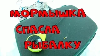 МОРМЫШКА спасла РЫБАЛКУ