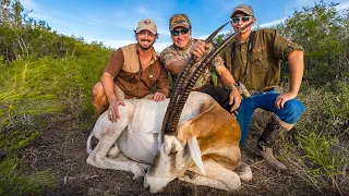 Exotic Oryx Hunting in South Texas | Wide Open Sportsman