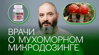 ВРАЧИ-ПСИХОТЕРАПЕВТЫ о Мухоморном микродозинге  "RedMicro"™. Микродозинг мухомора. Михаил Вишневский