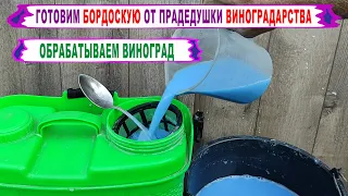 🍇 Милдью в августе. Просто ОБРАБОТАЛ ВИНОГРАД 1% БОРДОСКОЙ по рецепту от прадедушки. Срок ожидания!