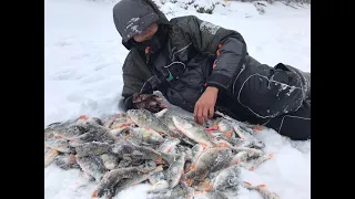 ПОЛ МЕШКА С ОДНОЙ ЛУНКИ!! ЖОР ОКУНЯ НА БАЛАНСИР!!Рыбалка 2020, Обь, fishing, perch