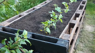 Raised bed for garden with your own hands. Make raised beds from pallets yourself.