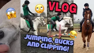 Jumping, Bucks and Clipping // VLOG #6