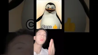 LOS PINGÜINOS ME LA VAN A MASCAR! (Origen Meme) 😱🤯 #short #sabiasque #curiosidades #epic #meme