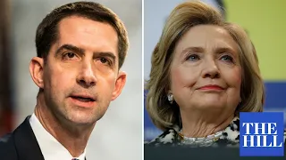 'Do you agree with Hillary Clinton on abortion?' Tom Cotton presses witnesses on Texas law
