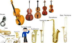 Instrument Size Comparison without music