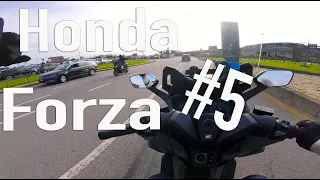 Honda Forza #5