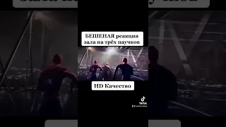 Реакция зала на трёх паучков ( Человек паук ) HD качество