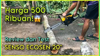 Review & Test Senso Murah ECOSEN 5800 52cc | Chainsaw Murah 500 Ribuan