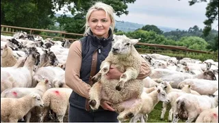 Amazing Modern Automatic Sheep Farming Technology | Sheep Farming, livestock | Bird and Animal Sound