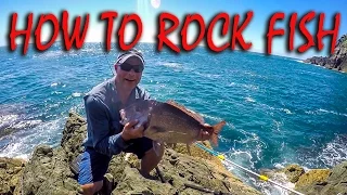 HOW TO STRAY LINE ROCK FISHING FOR SNAPPER, KAHAWAI & TREVALLY IN NZ