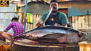 KASIMEDU 🔥 SPEED SELVAM | 15 KG YELLOW FIN TUNA FISH CUTTING | IN KASIMEDU | 4K VIDEO | FF CUTTING