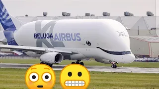 Airbus Beluga XL2 as it departs UP CLOSE at Hawarden Airport | #BelugaXL2 #Airbus | #Shortvideo