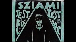 Sziámi koncert Győrben, 1992. november 20.