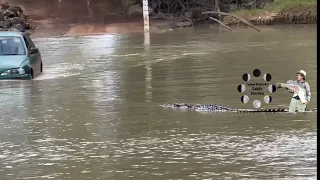 A car and a crocodile at Cahill’s Crossing