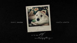 Shawn Mendes, Camila Cabello - it'll be okay (Mashup) [Audio]
