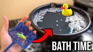 Giving LUCKY My BETTA FISH A BATH To SAVE HIM!! (RESCUE UPDATE)