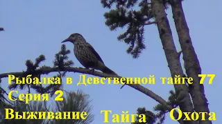 Трудная дорога Серия 2 Рыбалка в Девственной тайге 77 Тайга Охота Поход Выживание Лес Сибирь Медведь