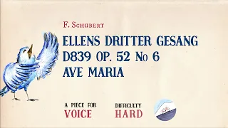 🎹 F. Schubert - Ellens Dritter Gesang Op. 52 No 6, Ave Maria [Piano Accompaniment] [Playback Voice]🎹