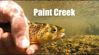 Revisiting Paint Creek 2021