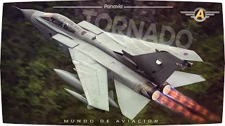 Los Panavia Tornado