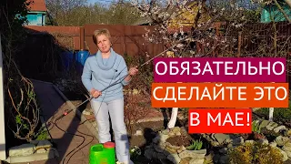 ОСНОВНЫЕ РАБОТЫ В САДУ И ОГОРОДЕ В МАЕ!