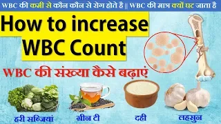How to increase wbc count [in hindi] | WBC की संख्या कैसे बढ़ाएं | WBC kaise kam kare_HD