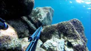 Spearfishing Croatia Mix 1