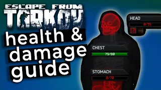 How Tarkov Health & Damage Works || Escape from Tarkov Beginners Guide Science