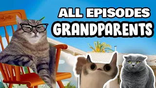 CAT MEMES: FAMILY VISIT COMPILATION