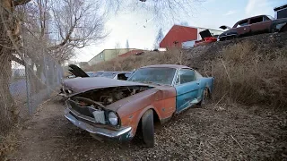 Steve Spots a 1965 Mustang 2+2 Fastback - Junkyard Gold Preview Ep. 4