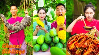 Natural Food Outdoor Cooking | Crocodile Eating Challenge | Tictok Funny Chinese Mukbang 2021 (New)