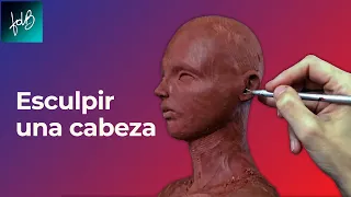 Como hacer la escultura de una cabeza paso a paso - Clase gratuita