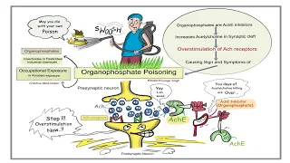 Organophosphate Poisoning Explained | EMT