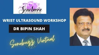 DR BIPIN SHAH | WRIST JOINT WORKSHOP | SONOBUZZ VIRTUAL