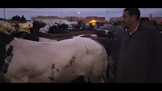 مباشرة من سوق الاثنين قلعة سراغنة نقدم لكم اتمنة تور كزاري ضࢪوبة ڪزارية بتاࢪيخ🇲🇦19/9/2022فرجة ممتعة