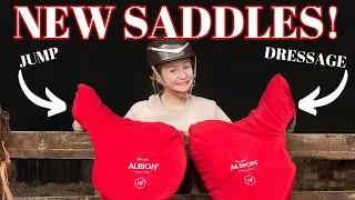 OUR NEW BESPOKE ALBION SADDLES HAVE ARRIVED!