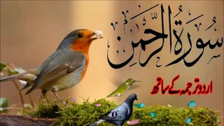 SURAH RAHMAN TARJUMA K SATH | BY QARI Al SHAIKH MUHAMMAD | EP 0097 | QURAN TILAWAT BEAUTIFUL VOICE