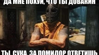 TESV:SKYRIM Ну очень тупые стражники)