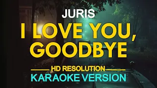 I LOVE YOU GOODBYE - Juris Fernandez of MYMP (Celine Dion) 🎙️ [ KARAOKE ] 🎶