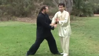 Tai Chi Taiji Self-defense Application Traditional Yang Long Form 2