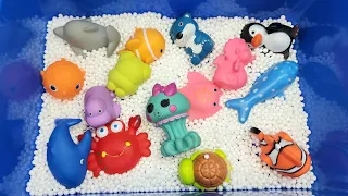 Sea Animals for kids| Sea creatures names  | Sea animal toys