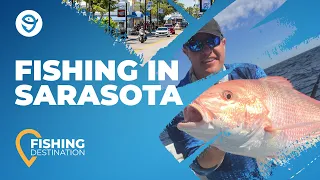 Sarasota Fishing: All You Need to Know | FishingBooker