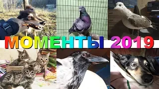 МОМЕНТЫ УХОДЯЩЕГО ГОДА