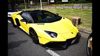 [爆音] Aventador crazy sounds.